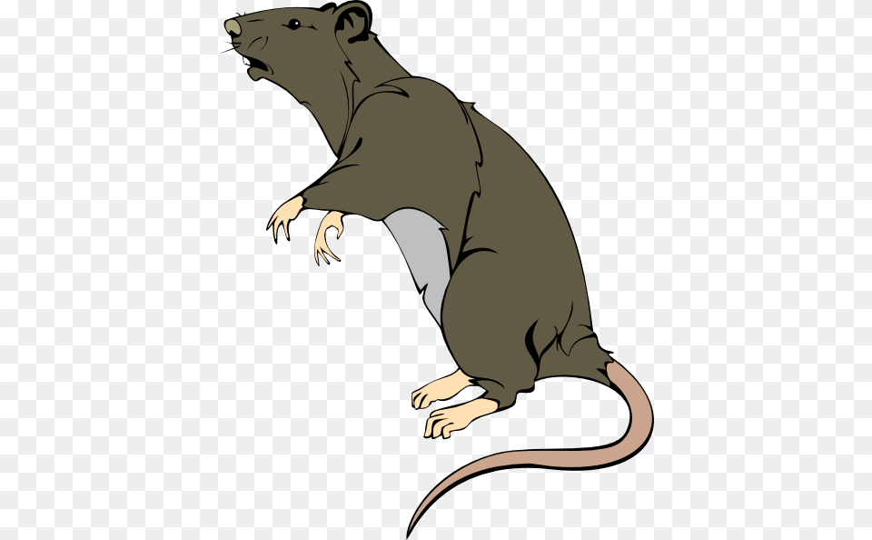 Grey Greedy Rat Clip Art, Animal, Mammal, Rodent, Ammunition Png