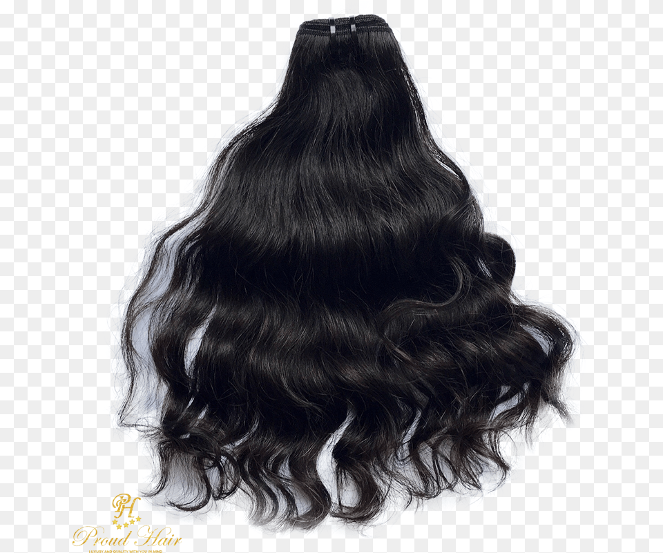 Grey Hair, Adult, Female, Person, Woman Free Transparent Png