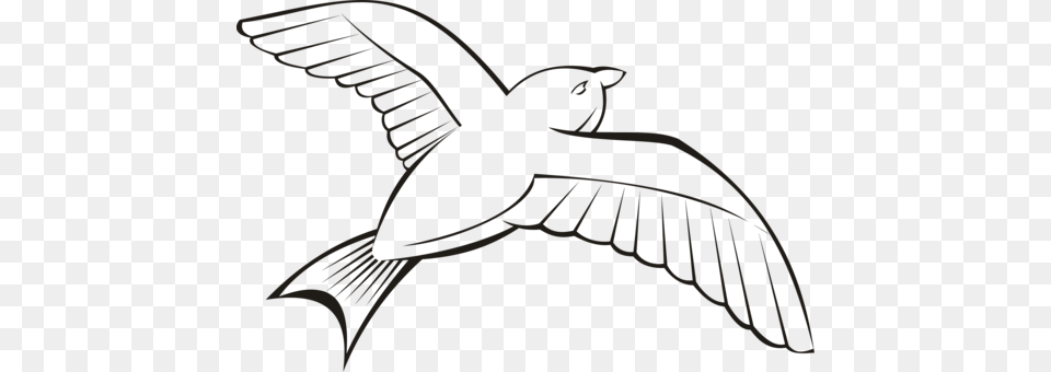 Grey Heron Bird Flight Ocean, Animal, Flying, Quail, Kite Bird Free Png