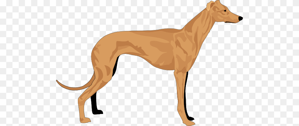 Grey Hound Clip Art, Animal, Canine, Mammal, Kangaroo Free Png