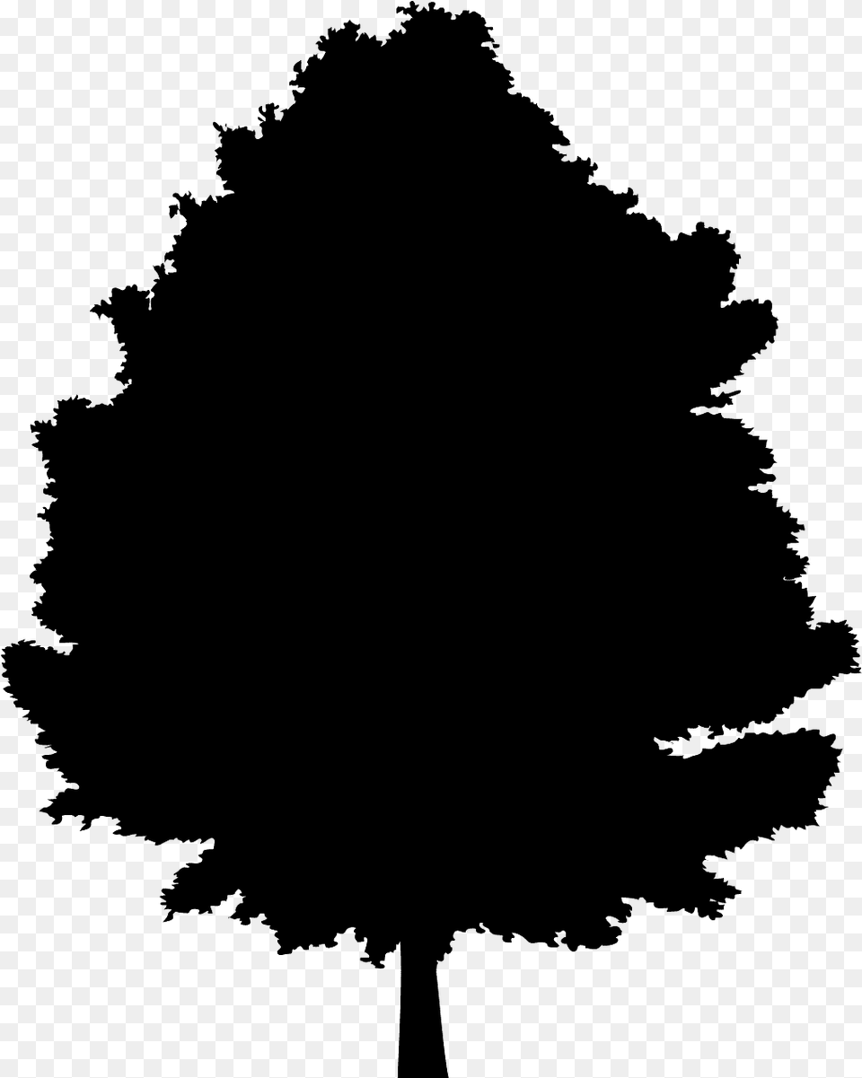 Grey Icon Trees, Gray Free Png Download