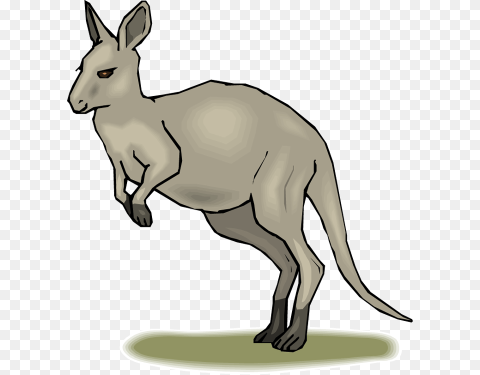 Grey Kangaroo Clipart, Animal, Mammal Free Transparent Png