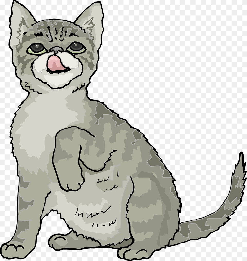 Grey Kitten Clipart, Animal, Cat, Mammal, Pet Png Image