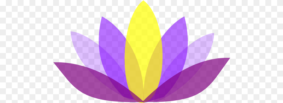 Grey Lotus Svg Clip Art For Web Graphic Design, Flower, Plant, Petal, Lily Png Image
