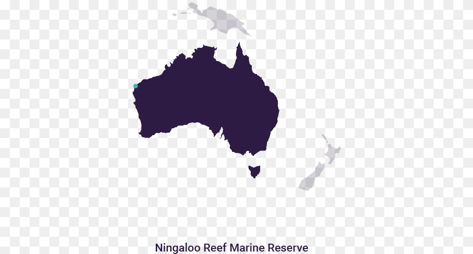 Grey Map Of Australia, Chart, Plot, Atlas, Diagram Free Png