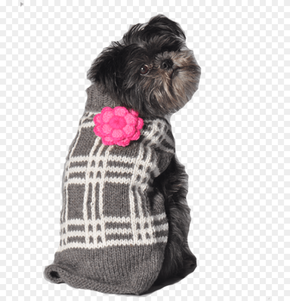 Grey Plaid Flower Dog Sweater Girly Dog Sweaters, Animal, Canine, Mammal, Pet Png Image