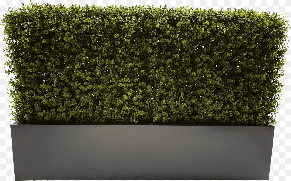 Grey Planter Hedge, Fence, Plant, Potted Plant, Jar Free Transparent Png