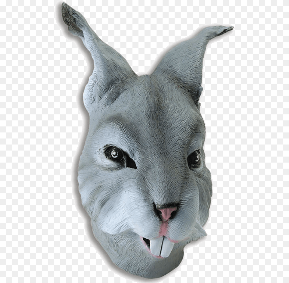 Grey Rabbit Mask Rabbit Mask, Animal, Bird, Mammal, Cougar Free Png