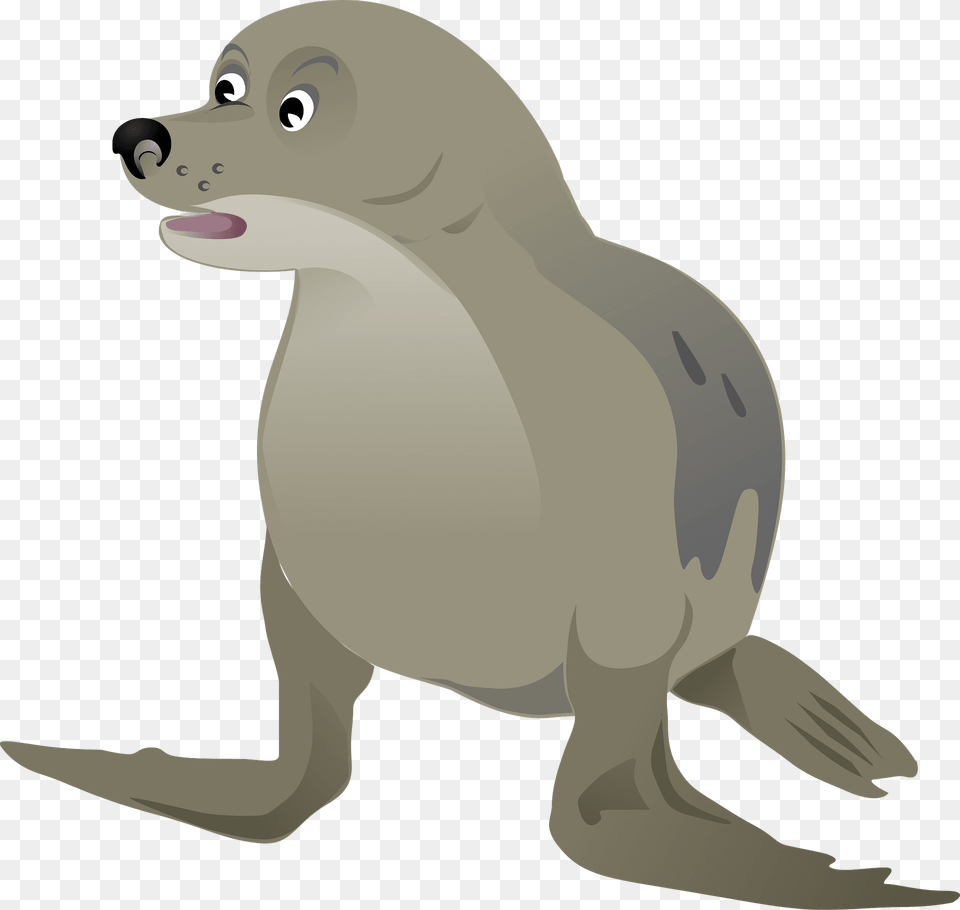 Grey Seal Clipart, Animal, Mammal, Sea Life, Sea Lion Png