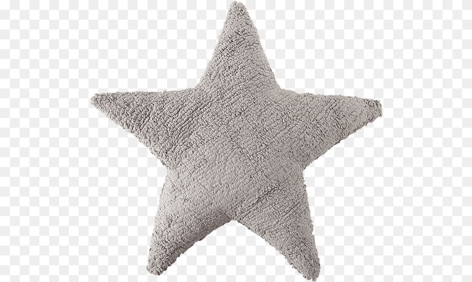 Grey Star Cushions, Home Decor, Animal, Sea Life Free Png