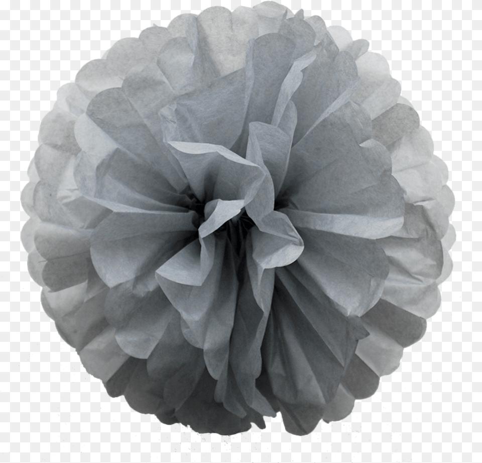 Grey Stylish Paper Pom Poms To The Lovely, Dahlia, Flower, Plant, Rose Png Image