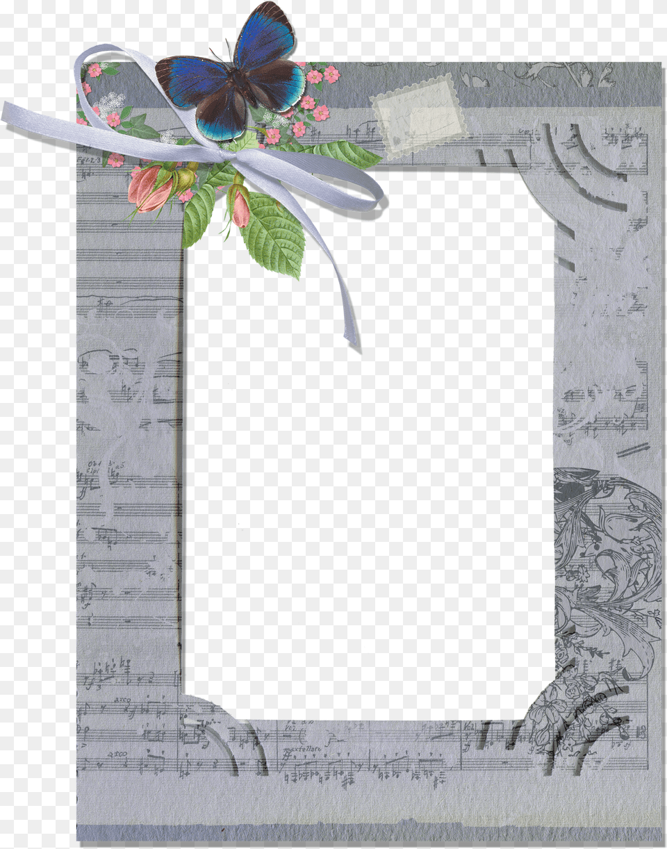 Grey Frame With Butterfly Grey Photo Frame, Art, Collage, Envelope, Greeting Card Free Transparent Png