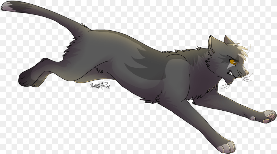 Grey Wing By Warrior Junkie D7ahjh1 Gray Wing Warrior Cats, Animal, Cat, Mammal, Pet Free Transparent Png