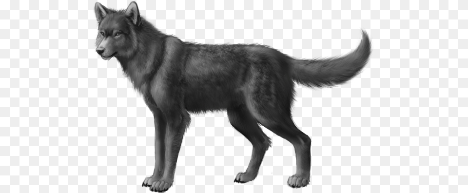 Grey Wolf 0 Dog Irish Wolfhound Black, Animal, Mammal, Canine, Pet Png