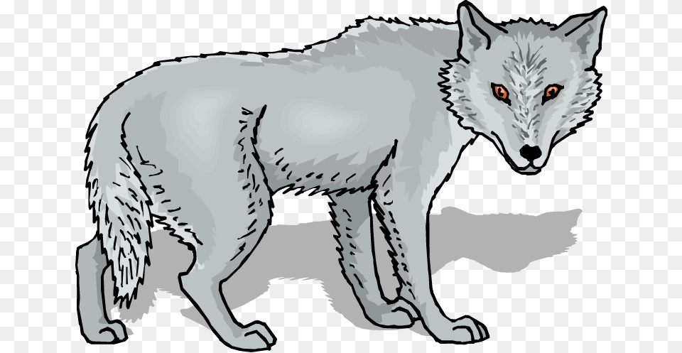 Grey Wolf Clipart, Mammal, Animal, Canine, White Dog Png