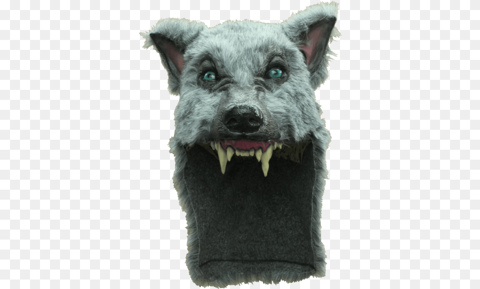 Grey Wolf Head Mask Grey Wolf Helmet, Animal, Canine, Dog, Mammal Free Transparent Png