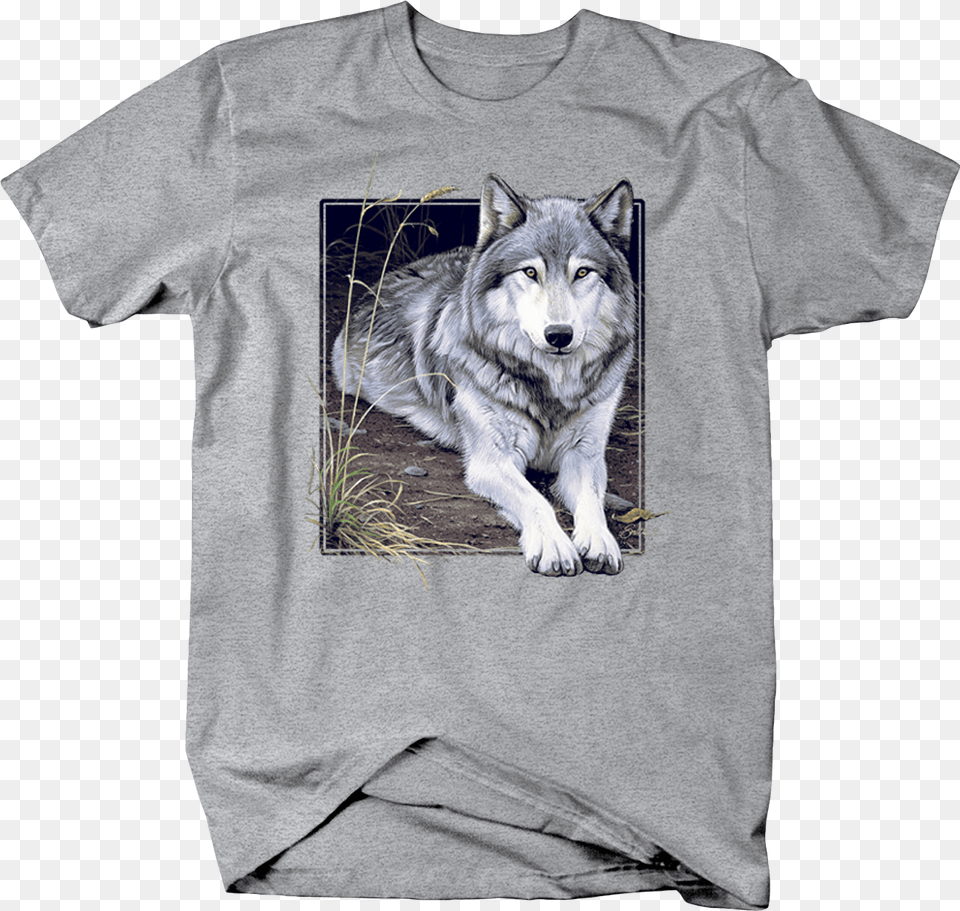 Grey Wolf Sitting On Wilderness Ground Staring Custom Puppy, Clothing, T-shirt, Animal, Canine Free Png Download