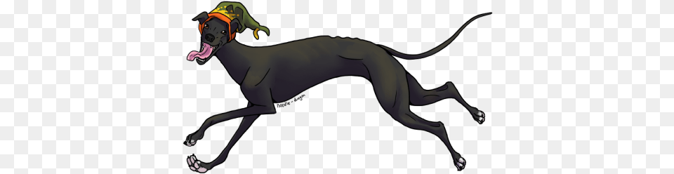 Greyhound, Adult, Female, Person, Woman Png Image