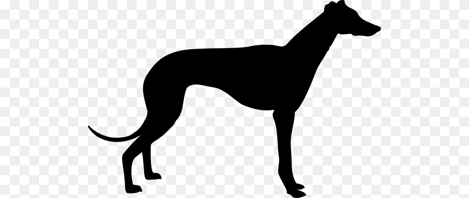 Greyhound Clip Art, Silhouette, Stencil, Animal, Kangaroo Free Transparent Png