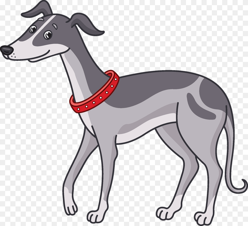 Greyhound Clipart, Accessories, Animal, Kangaroo, Mammal Png
