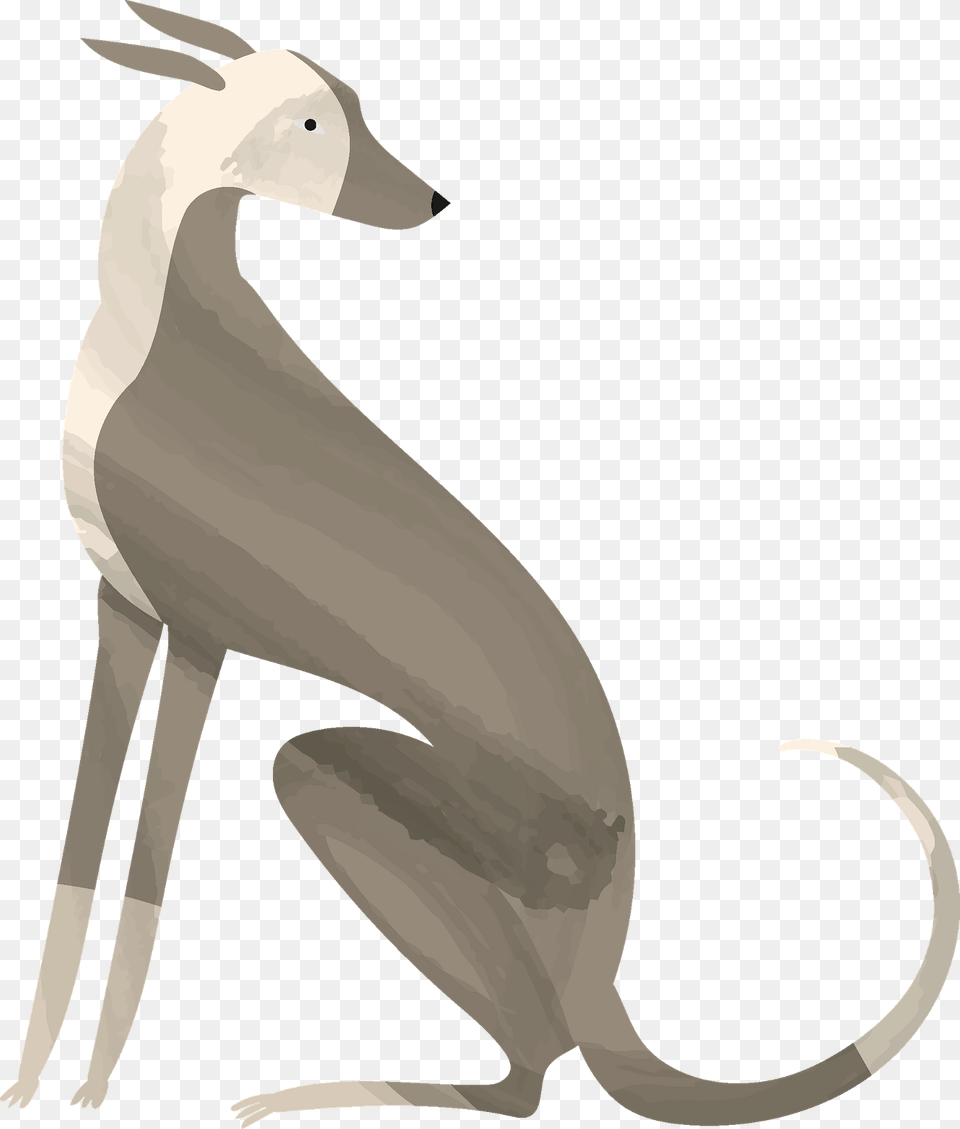 Greyhound Clipart, Animal Png