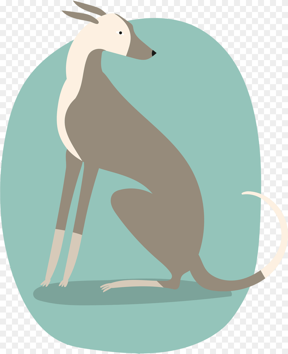 Greyhound Clipart 2003, Animal, Mammal, Bird, Penguin Free Png Download