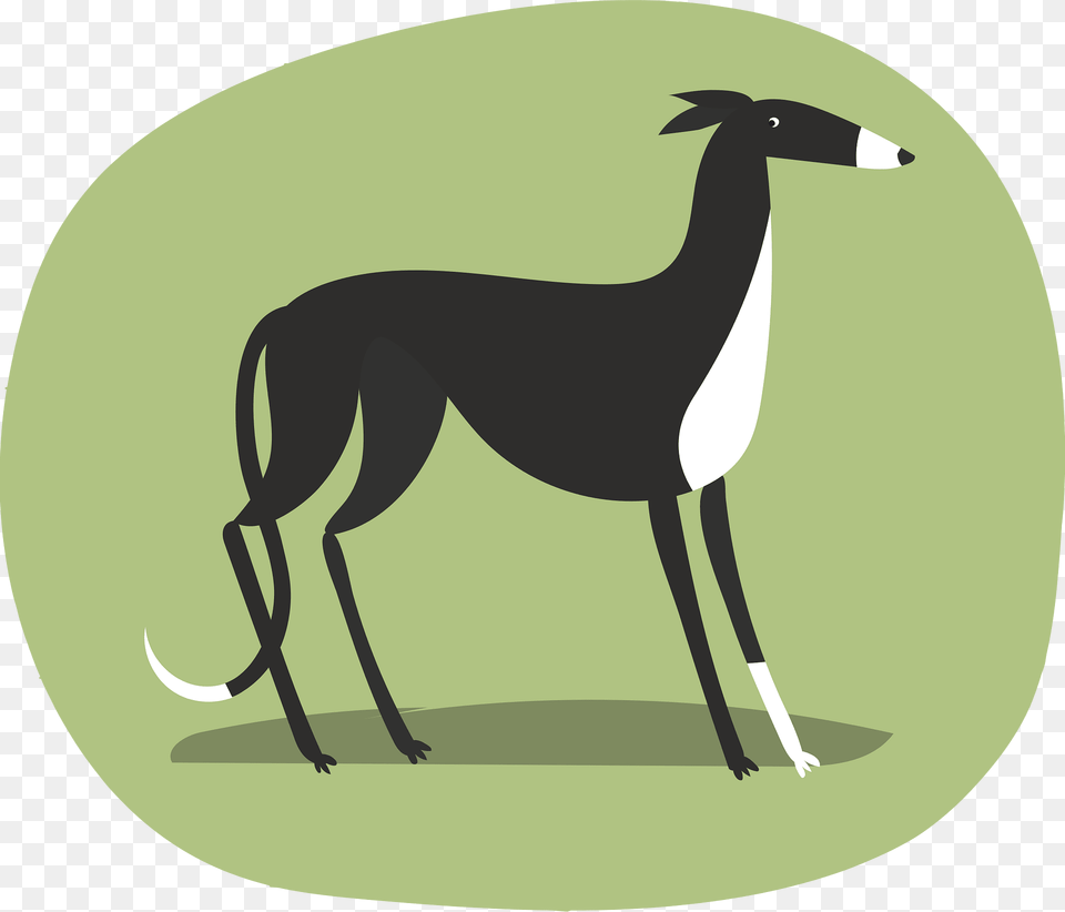 Greyhound Clipart, Animal, Mammal, Kangaroo Free Png