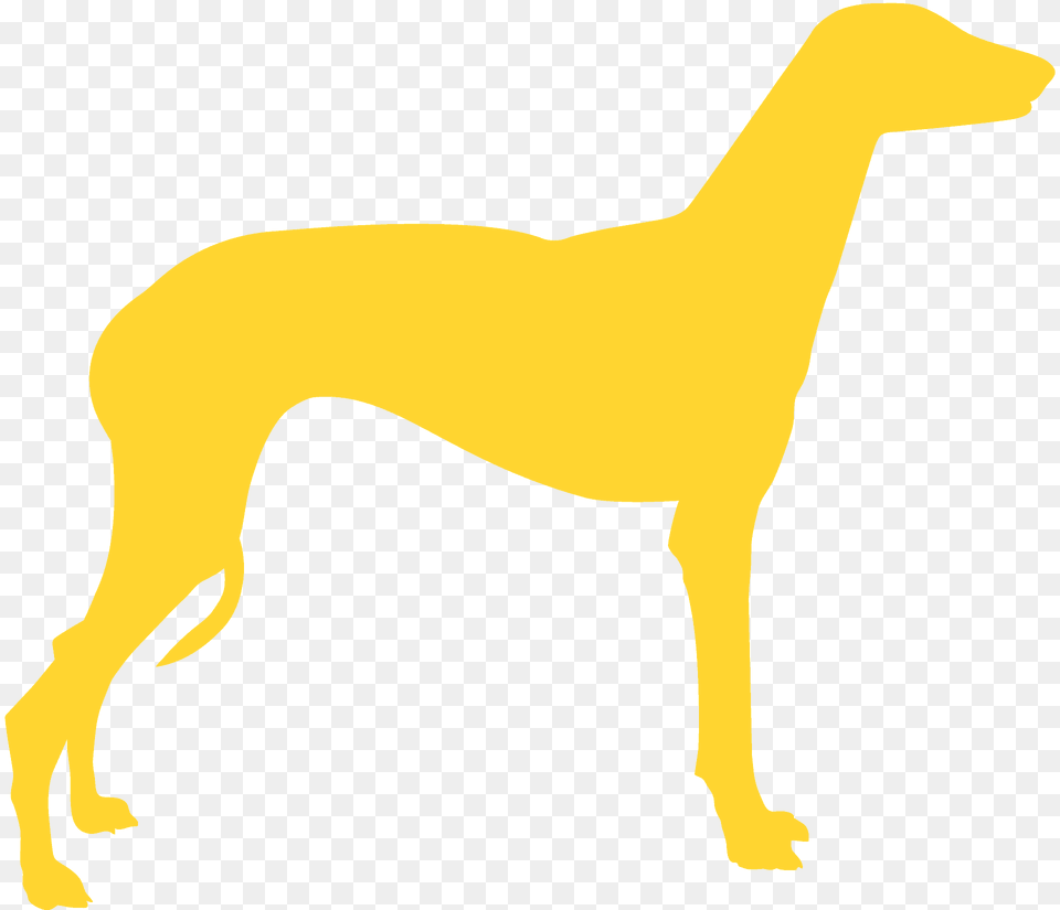 Greyhound Dog Silhouette, Animal, Mammal, Person, Pet Png Image