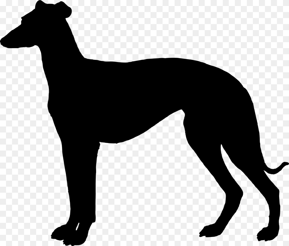 Greyhound Dog Silhouette Clip Art, Animal, Canine, Mammal, Pet Free Png Download