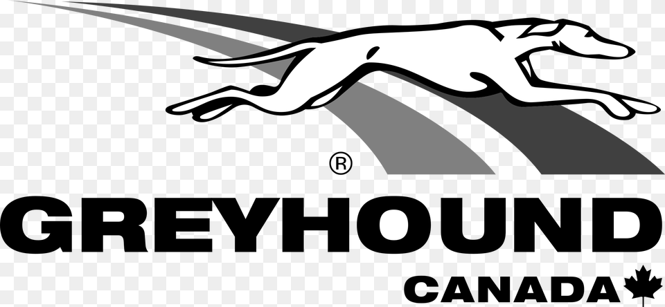 Greyhound Logo, Car, Coupe, Sports Car, Transportation Free Png Download