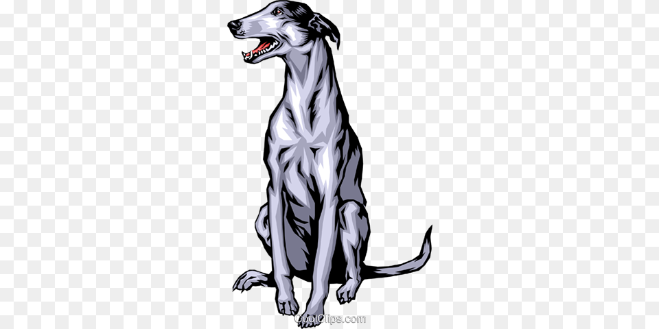 Greyhound Royalty Vector Clip Art Illustration, Adult, Person, Woman, Female Free Png Download