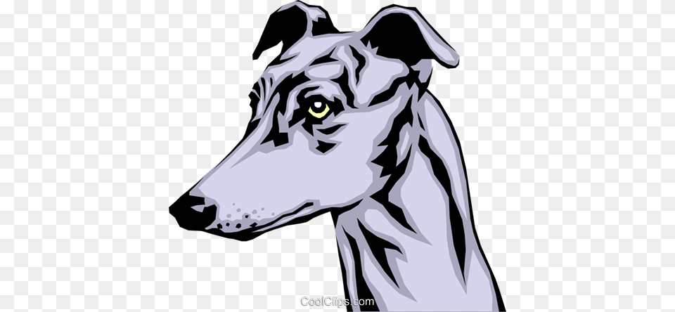 Greyhound Royalty Vector Clip Art Illustration, Adult, Person, Woman, Female Free Transparent Png