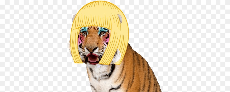 Grft Beauty Queen Wig Uncle Grandpa Giant Realistic Flying Tiger Human, Animal, Mammal, Wildlife Free Transparent Png
