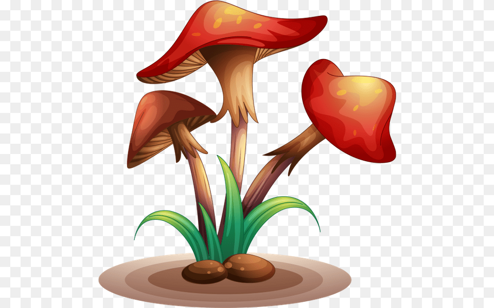 Gribi Lesnie Gribi Mushrooms Forest Mushrooms Pilze, Fungus, Mushroom, Plant, Agaric Png Image