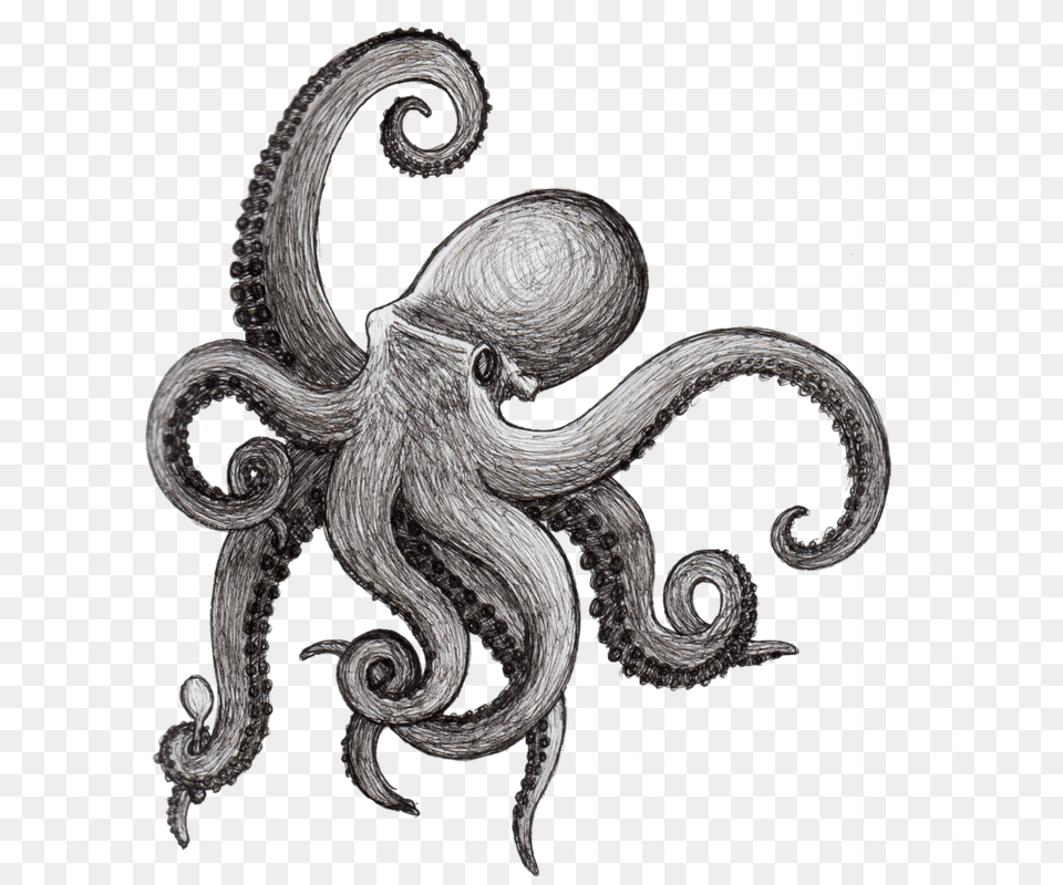 Griffe Tattoo Polvo Tattoo E Desenhos Artistic Jointed, Animal, Sea Life, Invertebrate, Octopus Png