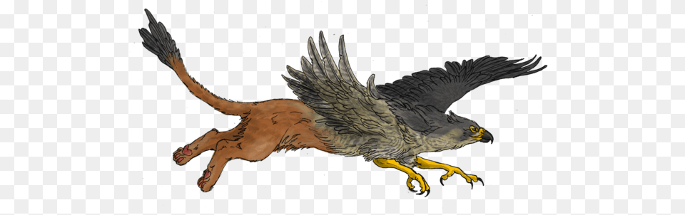 Griffin, Animal, Bird, Hawk, Vulture Free Transparent Png