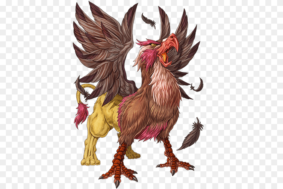 Griffin, Animal, Bird, Chicken, Fowl Free Png Download
