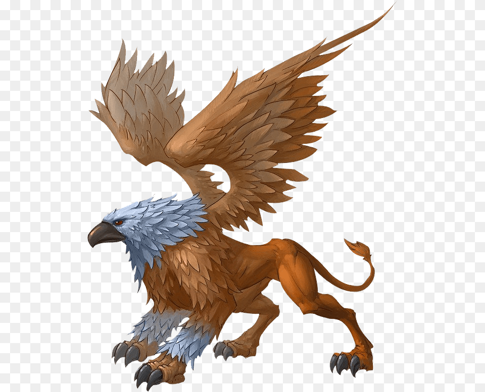 Griffin, Animal, Bird, Eagle Png Image