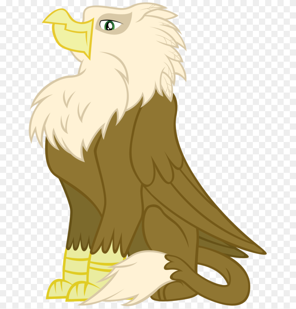 Griffin, Animal, Bird, Eagle, Beak Png