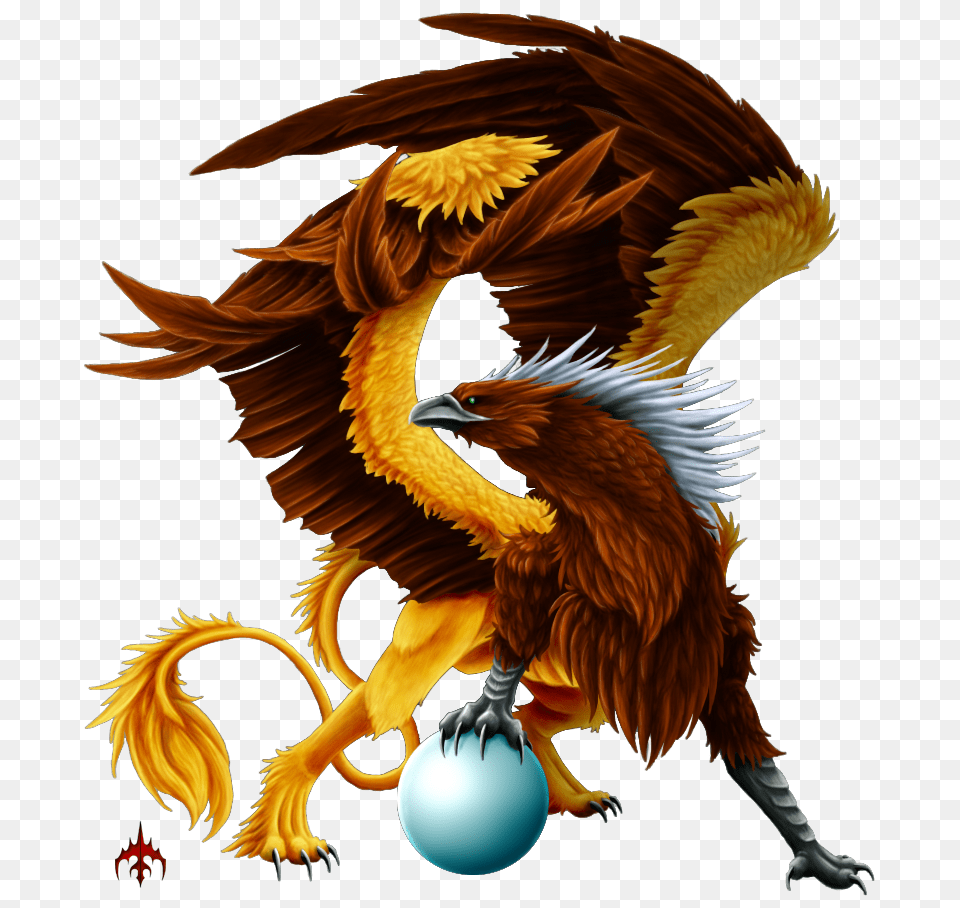 Griffin, Dragon, Animal, Bird Free Png Download