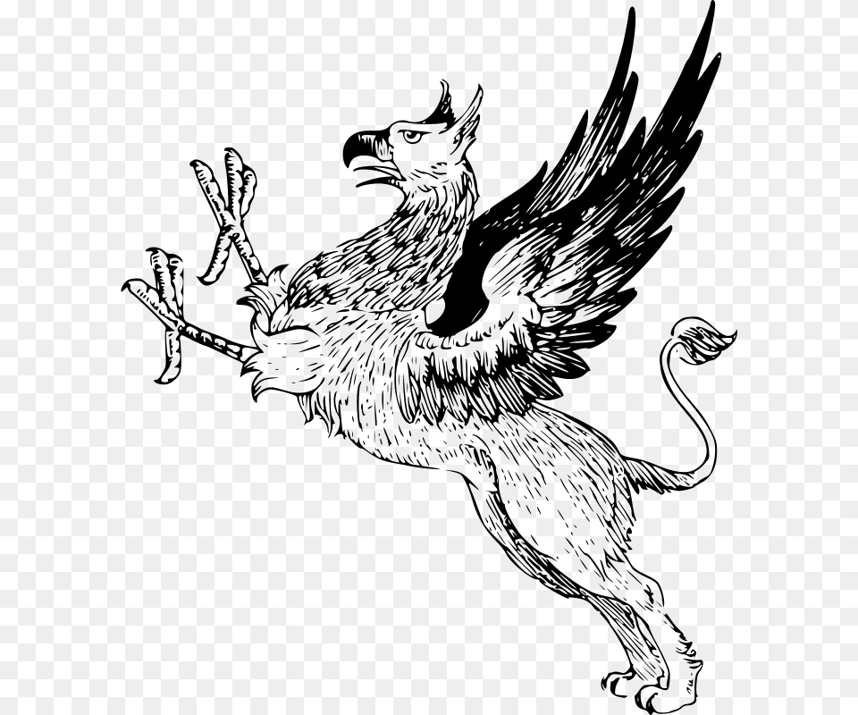 Griffin, Gray Png