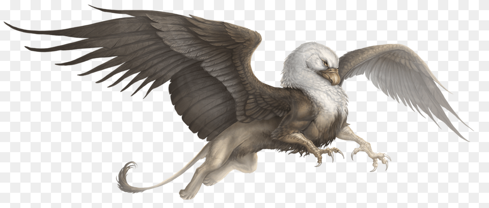 Griffin, Animal, Bird Free Transparent Png