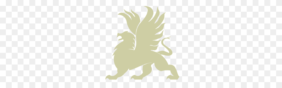 Griffin, Baby, Person Free Png Download