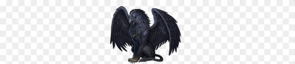 Griffin, Adult, Female, Person, Woman Png Image