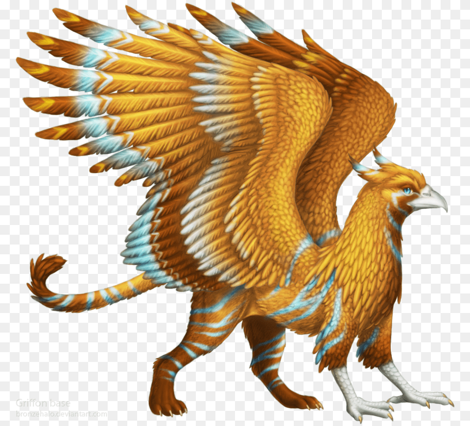 Griffin, Animal, Bird, Vulture, Electronics Png Image