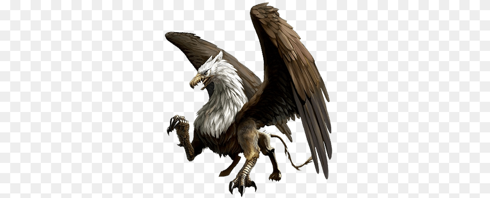 Griffin, Animal, Bird, Vulture, Eagle Free Png