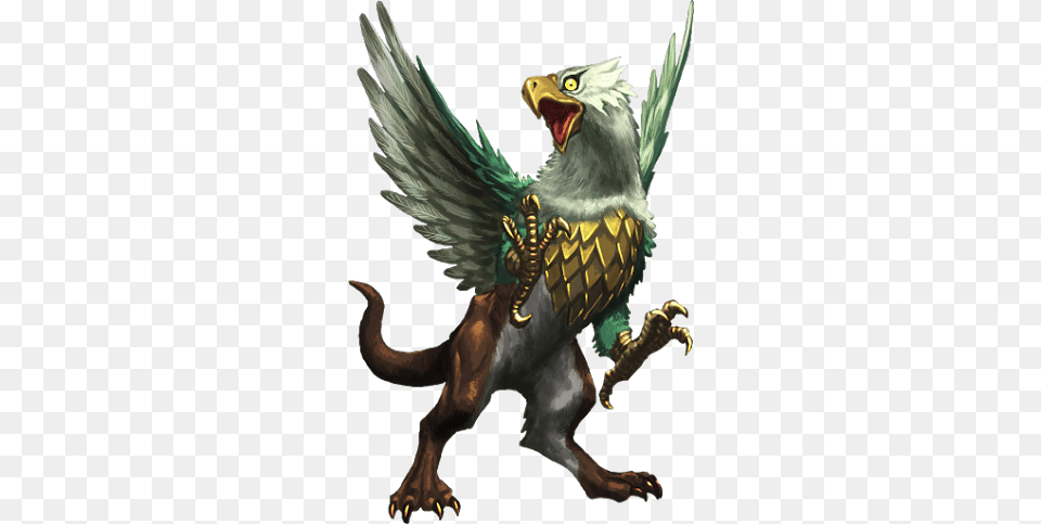 Griffin, Animal, Bird, Head, Person Png