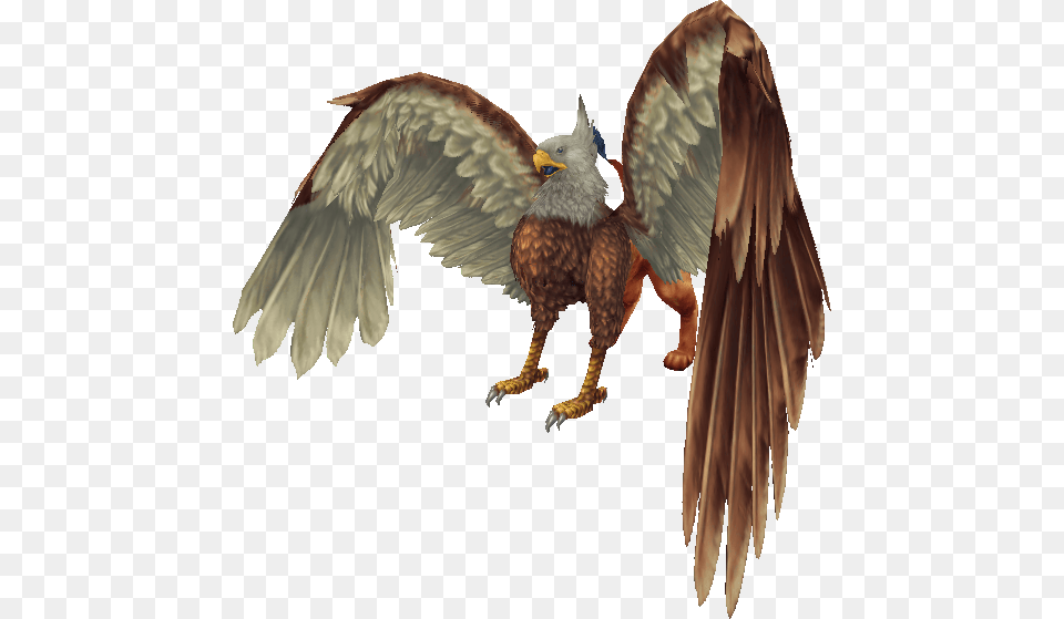 Griffin, Animal, Bird, Vulture, Kite Bird Free Transparent Png