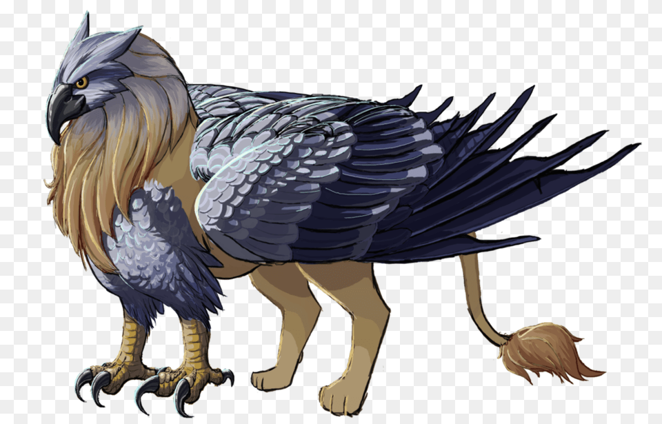 Griffin, Animal, Bird, Vulture, Electronics Free Png Download