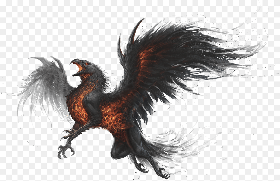 Griffin, Dragon, Animal, Bird Free Transparent Png